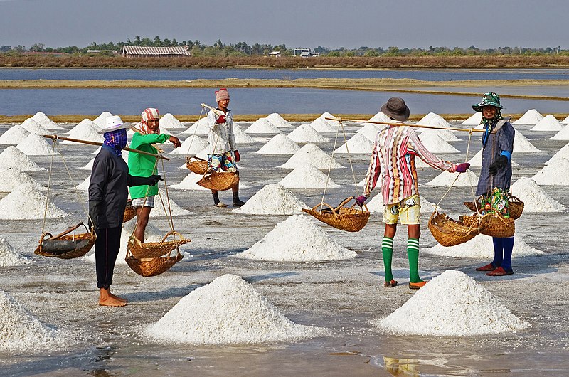 Salt farmers