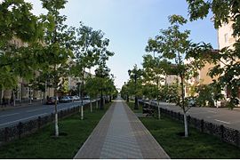 Grozny : la rue Kadyrov.