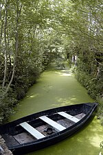 Le Marais poitevin.