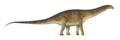 Apatosaurus