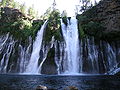 Burney falls.