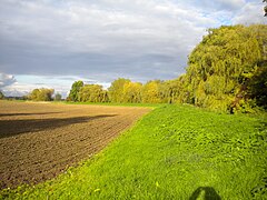 Field edge footpath alongside Dover Beck, Caythorpe - geograph.org.uk - 5214242.jpg