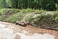 Log on Statenville Boat Ramp