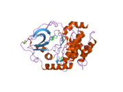 2uw7: STRUCTURE OF PKA-PKB CHIMERA COMPLEXED WITH 4-(4-CHLORO-PHENYL)-4-(4-(1H-PYRAZOL-4-YL)-PHENYL)-PIPERIDINE