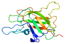 Description de l'image Protein F5 PDB 1czs.png.