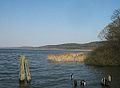 Blick von Ferch über den See, am rechten Ufer, die Ausläufer des Wietkikenberges