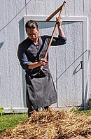 Flail being used for threshing