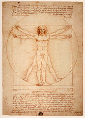 Leonardo da Vinci, Uomo vitruviano (Vitruvian Man), c. 1490