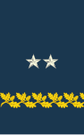 Gradbeteckning på ärm för generalmajor i USA.s armé i mässdräkt