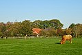 Zicht op Anloo met Sint Magnuskerk