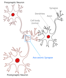 Representação da sinapse neuronal