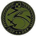 Oznaka rozpoznawcza COP-DKP na mundur polowy.