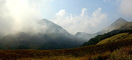 Chembra Peak, Wayanad (2013)