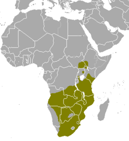 Área de distribución de Taurotragus oryx