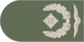 Naramiennik stopnia Major (Luftwaffe).