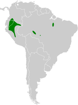 Distribución geográfica del titirijí pío.