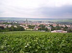 Vue d’Épernay depuis un champ situé en hauteur