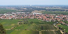 180812-Edenkoben-01.jpg