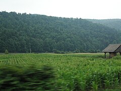 August 2006, View from train from Zagreb to Ljubljana 28.jpg