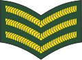 Sergeant (Barbados Regiment)[29]