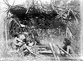 Alifuru people of Seram island in Maluku cooking papeda in bamboo.