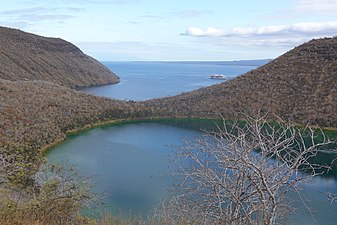Climas de sabana seca Aw en las Islas Galápagos.