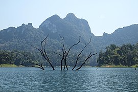 Karst landscape of Cheow Lan Lake, Surat Thani, Thailand.jpg