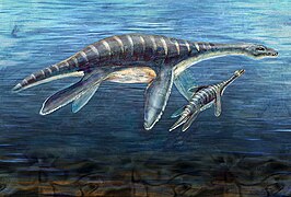 Plesiosauria