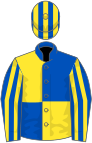 Royal blue and yellow (quartered), striped sleeves and cap