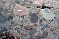 Compositionally and texturally very heterogenous conglomerate, Woodton Formation, Permian, New South Wales