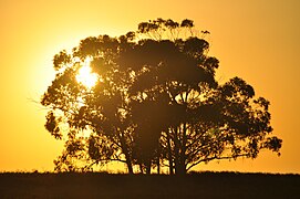 Alentejo Sunset (9431514856).jpg