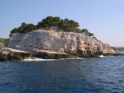 Cây thông Aleppo gần Marseille