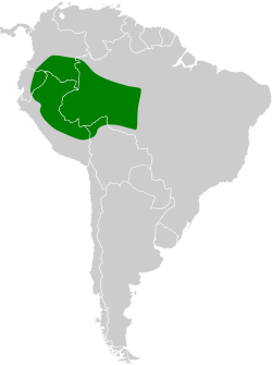 Distribución geográfica del cotinga mayna.