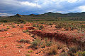 Paysage du Karoo