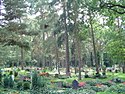 Graves at Kisseln cemetery