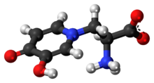 Ball-and-stick model of the L-mimosine zwitterion