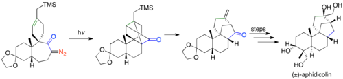 Synthesis of (±)-aphidicolin