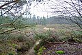 pingoruine in het Buinerveld in de boswachterij Exloo