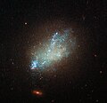 IC 559 este o galaxie de tipul Sm.[5]