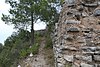 Ruinas del castillo de la Carbonera