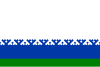 Flag of Ņencu autonomais apvidus