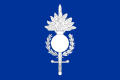 Europese gendarmerie: Vlag