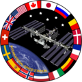 International Space Station Insignia