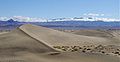 Mesquite liivaluited Surmaoru rahvuspargis, mida tuul ringi paigutab.