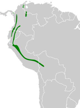 Distribución geográfica de la moscareta vellosa.