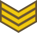 Sergeant (New Zealand Army)[68]