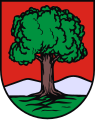 English: Coat of arms Polski: Herb miasta Wałbrzycha