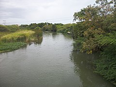 Rio manzanares - panoramio.jpg