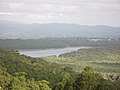 Dandenong Ranges