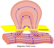 Diagram of the magnetic-field structure of a solar flare and its origin, inferred to result from the deformation of such a magnetic structure linking the solar interior with the solar atmosphere up through the corona.